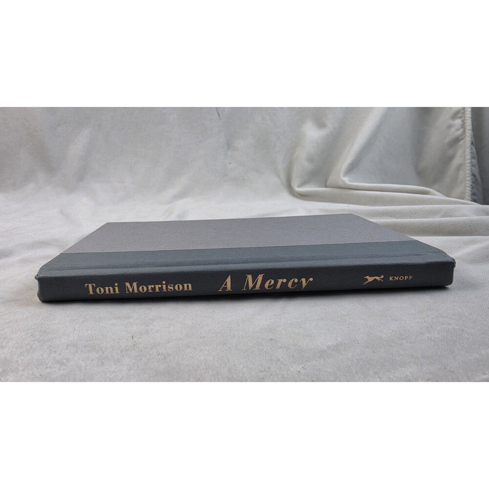 Hardcover A Mercy book by Toni Morrison